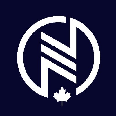Netcoins logo